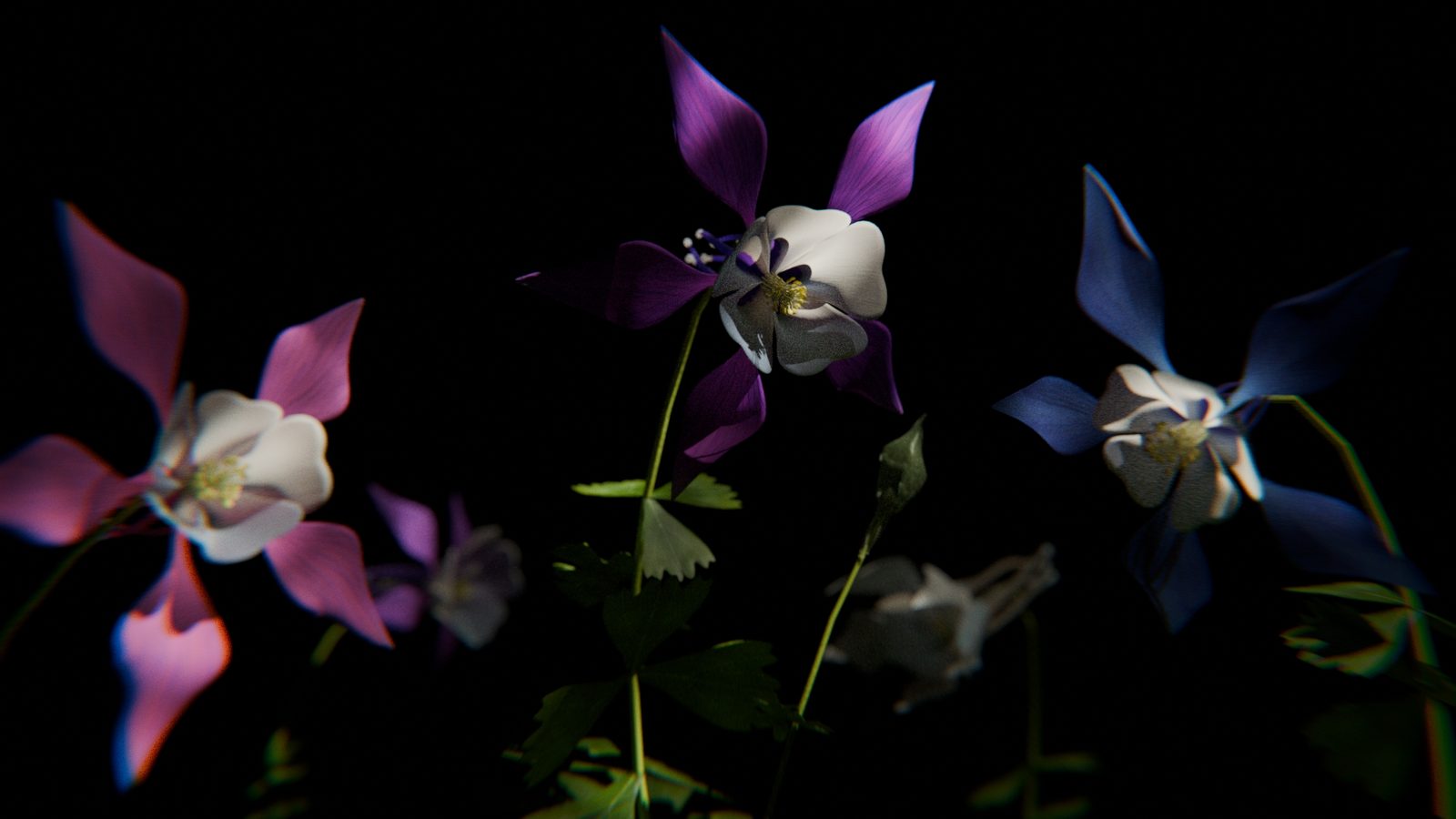 Procedural columbine flower generator for Blender